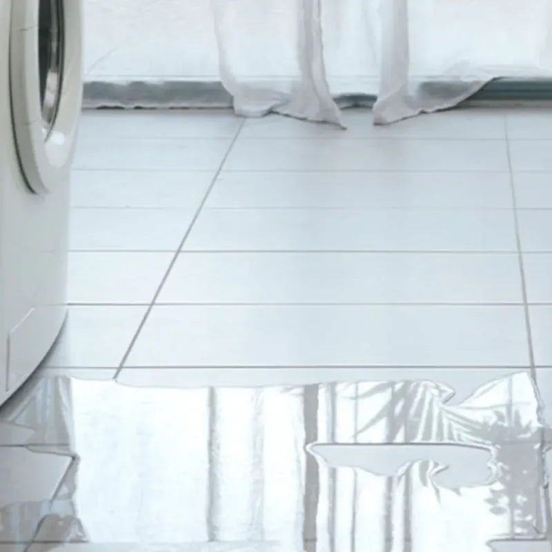 Appliance Leak Cleanup in Piney, AR