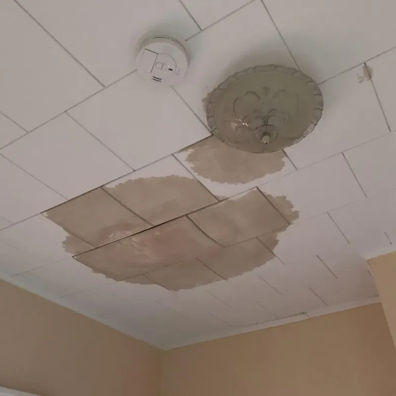Ceiling Water Damage Repair in Piney, AR